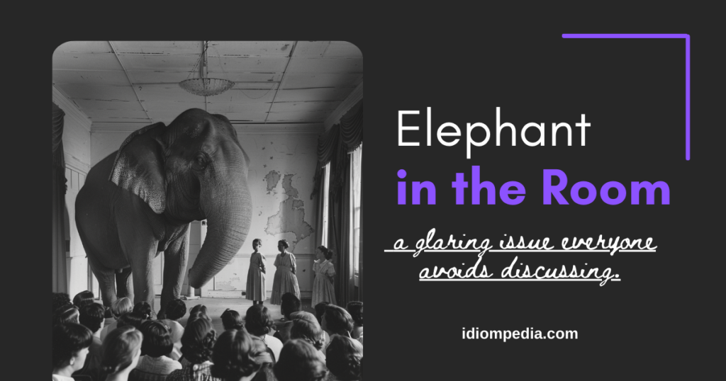 elephant in the room funny phrase