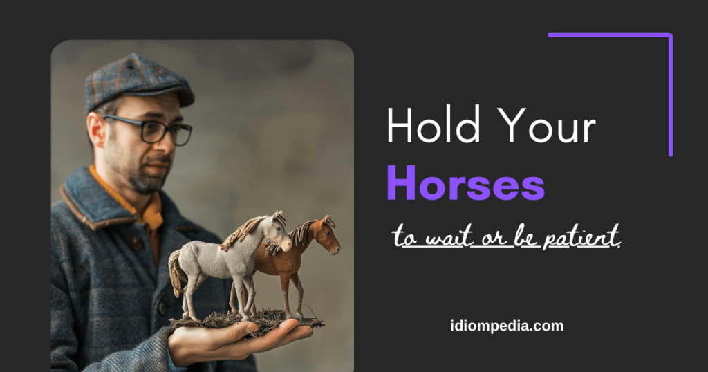 hold your horses funny idiom