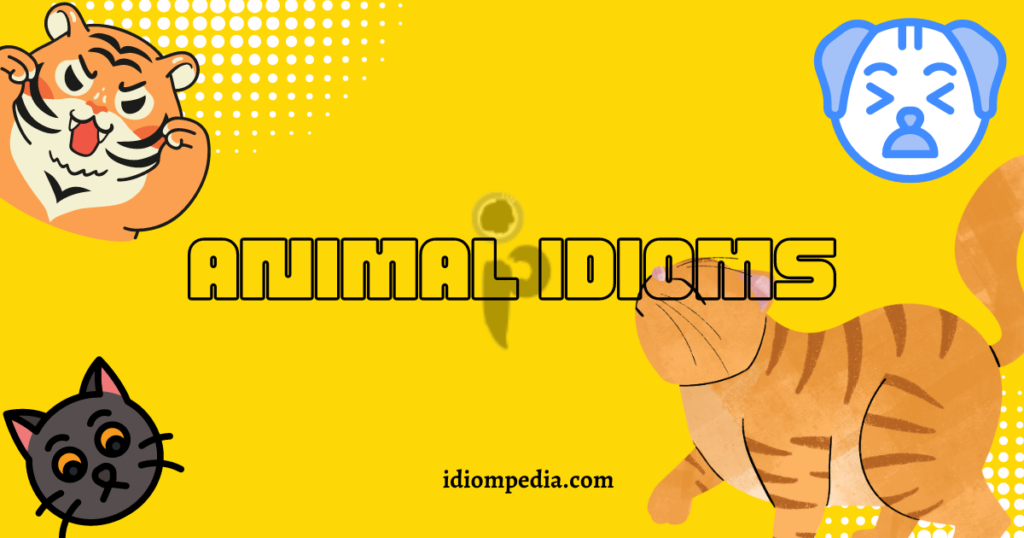animal idioms