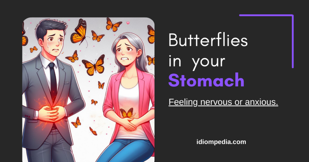 butterflies in your stomach animal idioms images