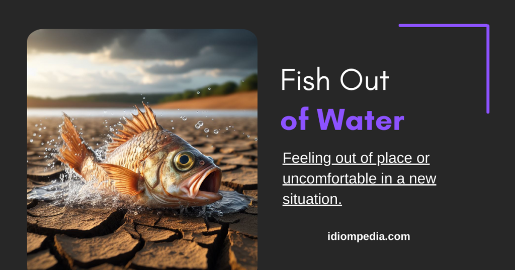 animal idiom fish out of water