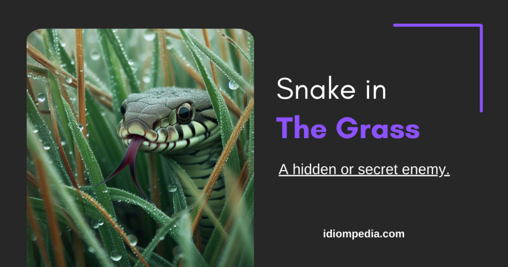 snake in the grass animal idiom