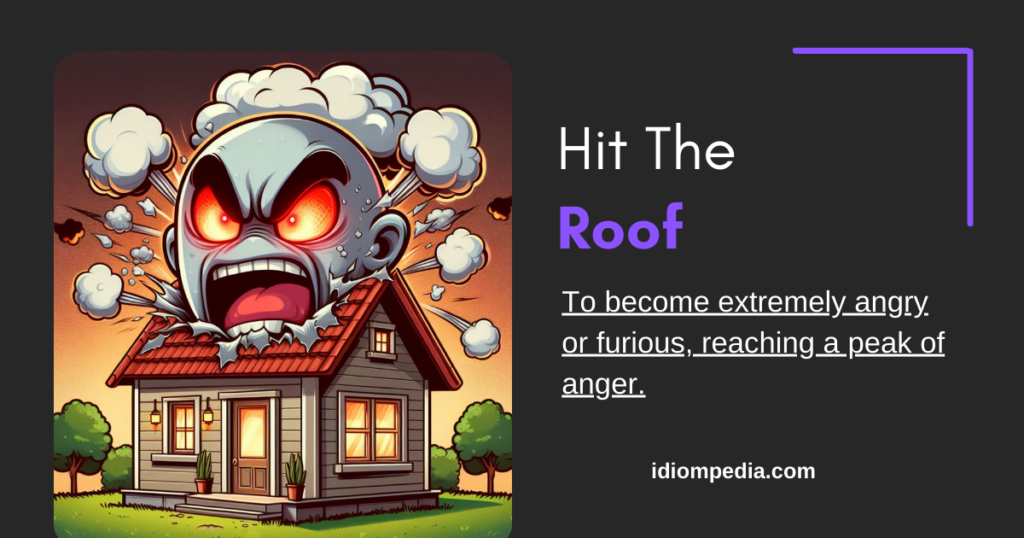 hit the roof angry idiom picture