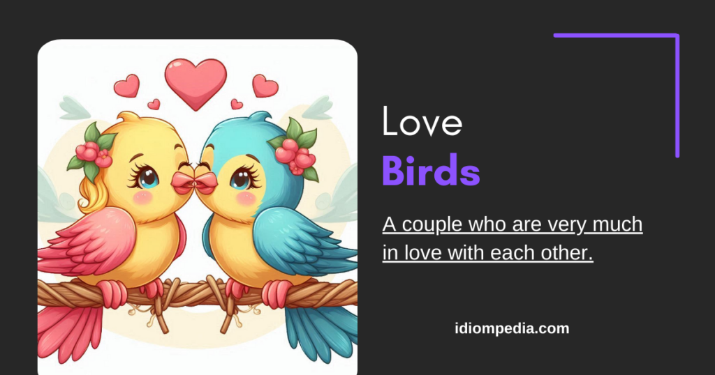 love birds idiom