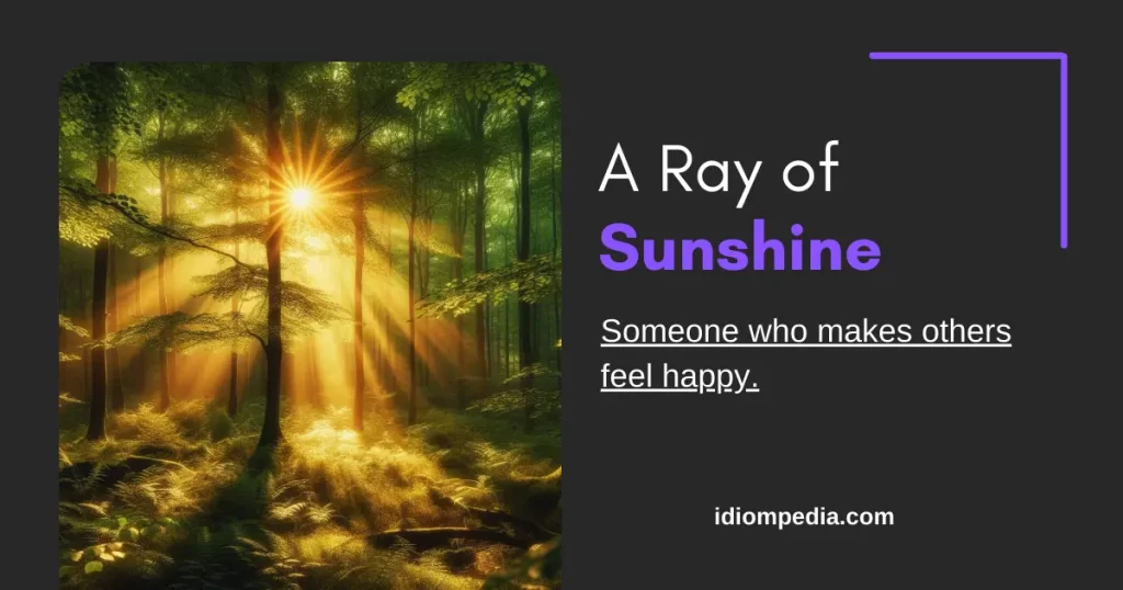 a ray of sunshine sunny day idiom