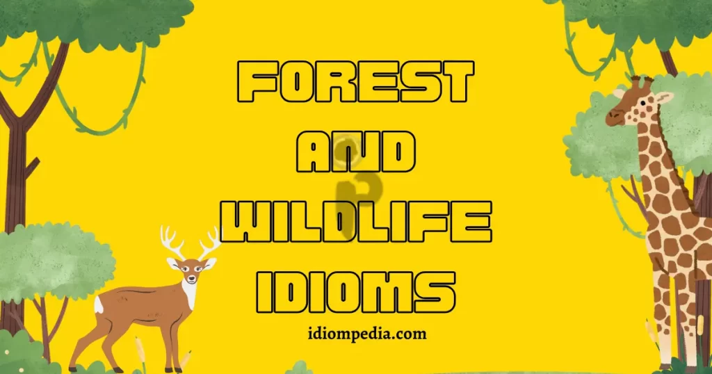 Forest and wildlife idioms illustrated with trees, a deer, and a giraffe on a bright yellow background.